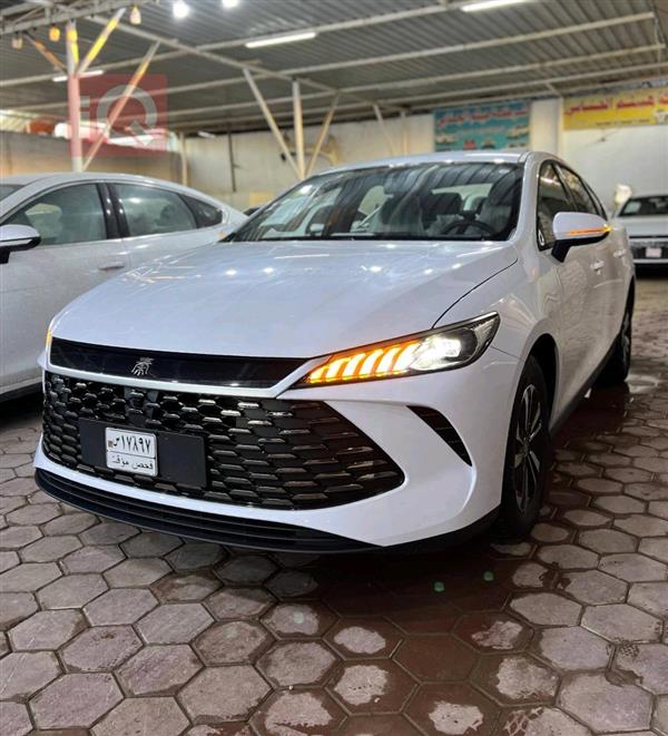 بی وای دی Qin Plus 2025  بۆ فرۆشتن لە عێراق - نەجەف